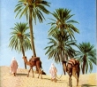 palms