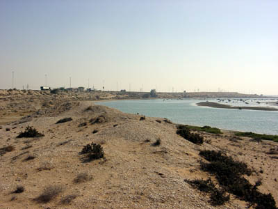 View of the Umm al-Qaiwain lagoon - a large shell midden is visible in the foreground (Photograph by Dr Mark Beech)