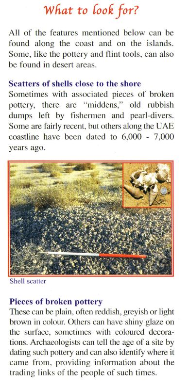ADCO - ADIAS Archaeology Leaflet Page 3/6