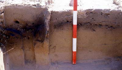 Section through an Iron age hearth at Balghelam site BG12 (Photograph by Dr Mark Beech)