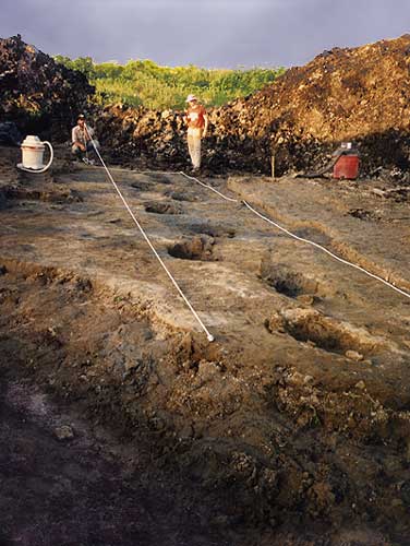 Mastodon trackway at the Brennan site near Saline, Michigan, USA