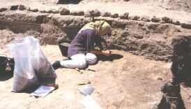 Dalma - Excavating and sampling the shell and fish bone layers in Trench 2 - 1994 season, site DA11  (Photograph by ADIAS)