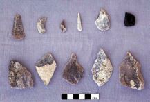 Dalma - Flints from site DA11 (Photograph by ADIAS)