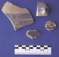 Dalma - Ubaid pottery sherds, site DA11  (Photograph by ADIAS)