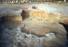 Dalma - The gypsum plaster layer in Trench 2 - 1998 season, site DA11 (Photograph by Dr Mark Beech)
