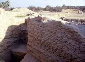 Mudbrick wall at Kalba (Photograph by Dr Mark Beech)