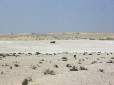 View of the main trackway site at Mleisa (Photograph by ADIAS)