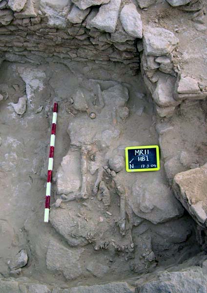 The skeleton found on the stone platform at the southern end of Room 1