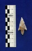 Marawah - Flint arrowhead from a 7000 year old locality on Marawah (site MR1)  (Photograph by ADIAS)