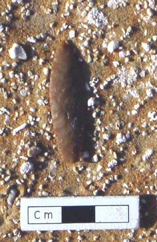 A flint arrowhead discovered at Kharimat Khor Al Manahil (Photograph by Dr Mark Beech)