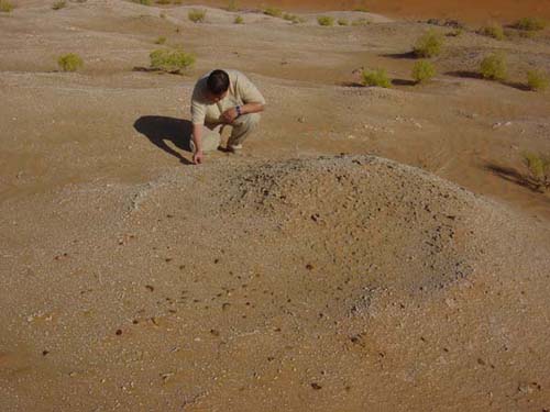Dominique Pauli examines one of the lithic scatters at Kharimat Khor Al Manahil (Photograph by Dr Mark Beech)