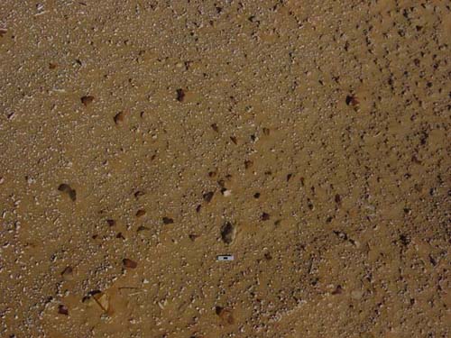 Close-up of one of the lithic scatters at Kharimat Khor Al Manahil (Photograph by Dr Mark Beech)