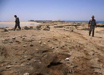 Sampling the settlement midden at Ra's Ghumays site 1 (Photograph by Dr Mark Beech)
