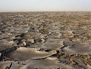 View of sabkha (Photograph by Dr Mark Beech)