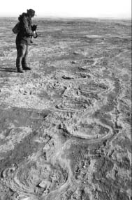 Photograph of the Mammoth trackway found by Ed Boyce, Shayne Tolman, and Barry Wood