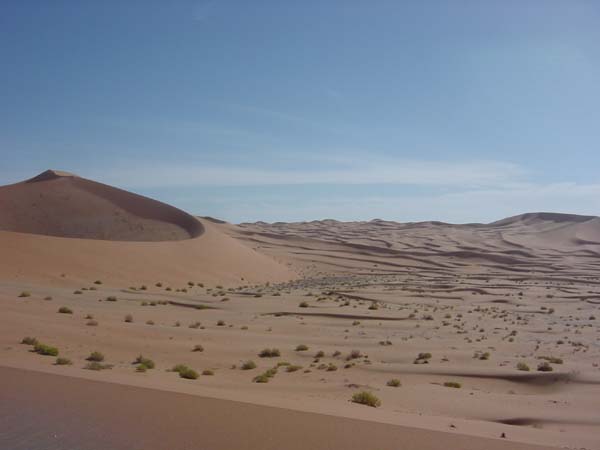 View of dunes in the area of Kharimat Khor Al Manahil (Photograph by Dr Mark Beech)